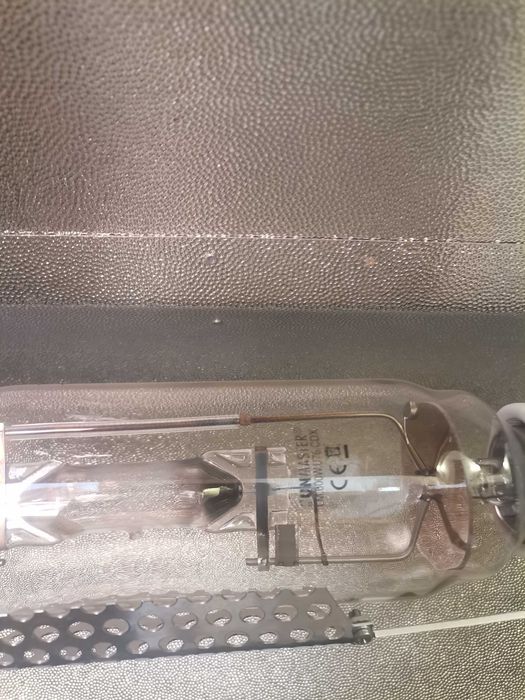 Лампа за растения, разсад