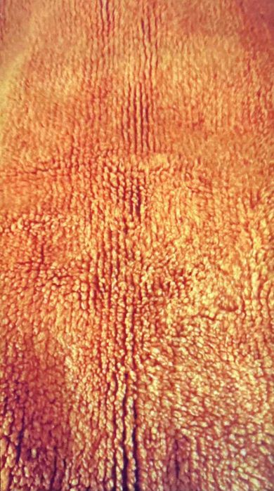 китеник за диван