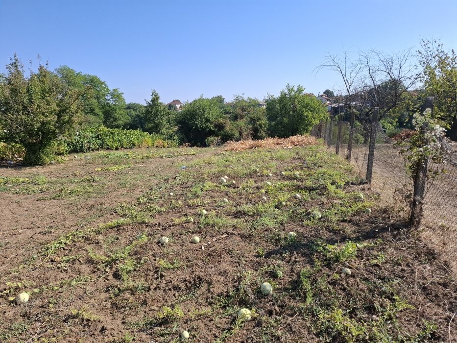 Продава се Парцел в с. Калипетрово, Област Силистра - 1194 кв.м за 15 €/кв.м - Снимка #3