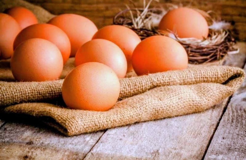 Ouă de casă proaspete și sănătoase