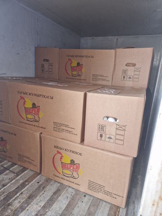 Яйцо куриное свежее