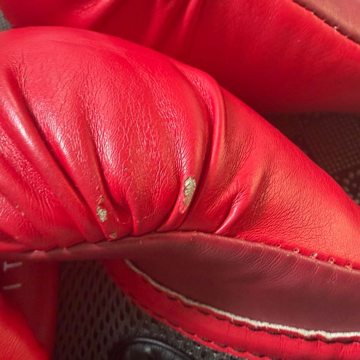 Боксови ръкавици Everlast Elite(with ever shield)