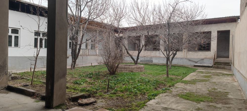 12 сутикли ховли сотилади