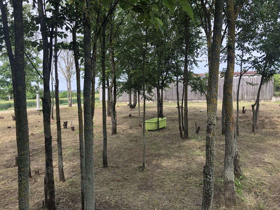 Inchiriere teren 420 mp, zona Ganeasa, Afumati, Voluntari