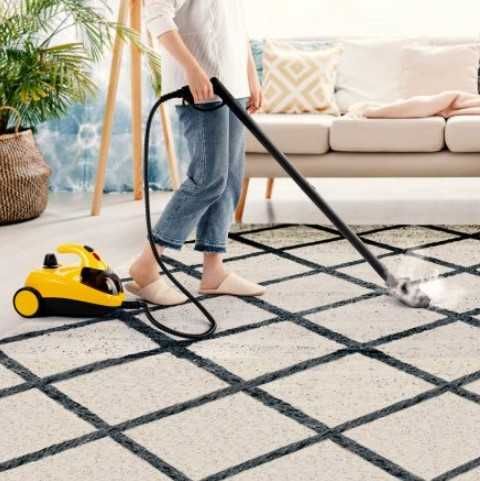 Парочистачката Quigg, 1500 W