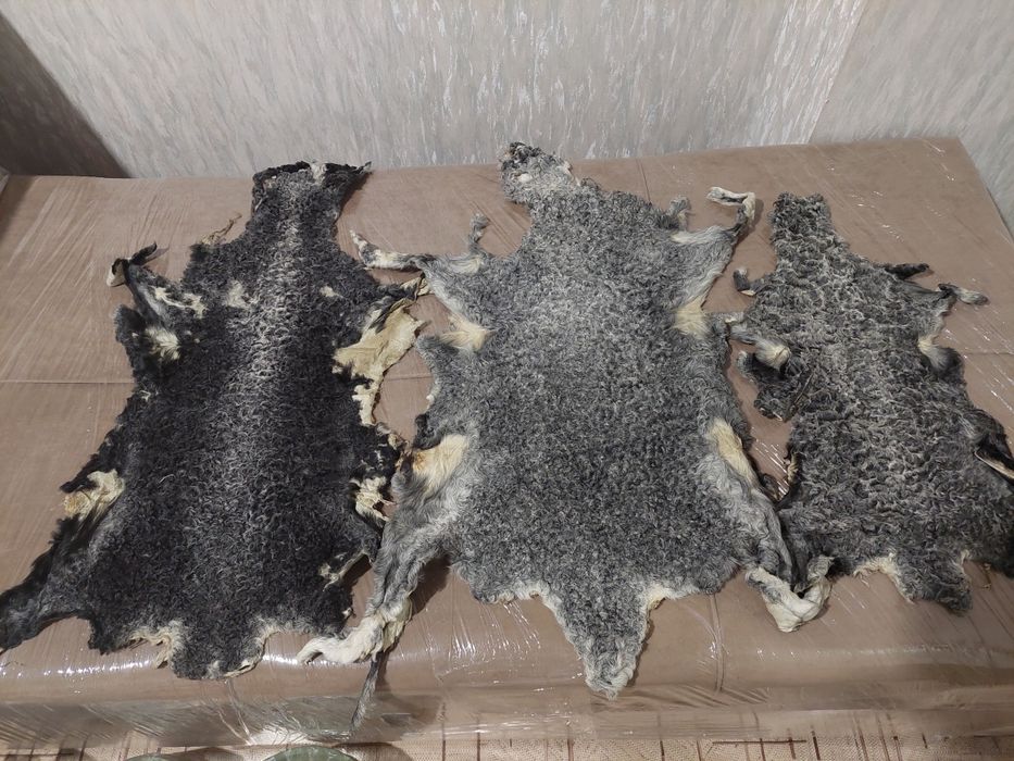 Каракуля шкурки натуральные