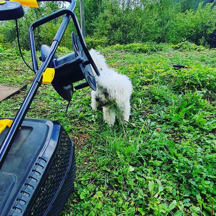 Продава се Къща в София, Център - 70 кв.м за 929 €/кв.м - Снимка #9