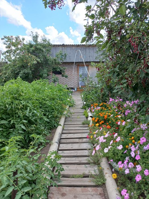 Продам дом в 100 км от Костаная