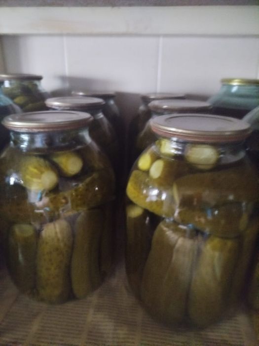 Огурцы солёные домашние