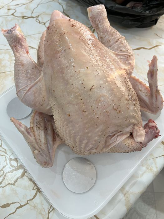 Продам мясо бройлера