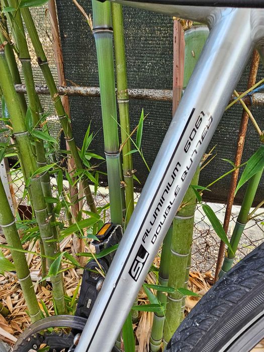 Staiger Indian 52см