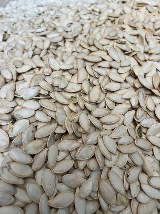 Турецкие семечки