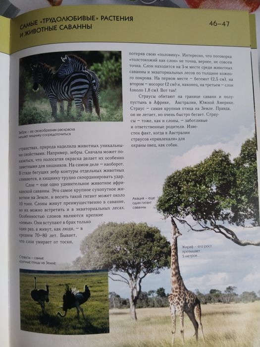 Энциклопедия чудеса света