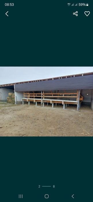 Фазенда (откорм) сатылады