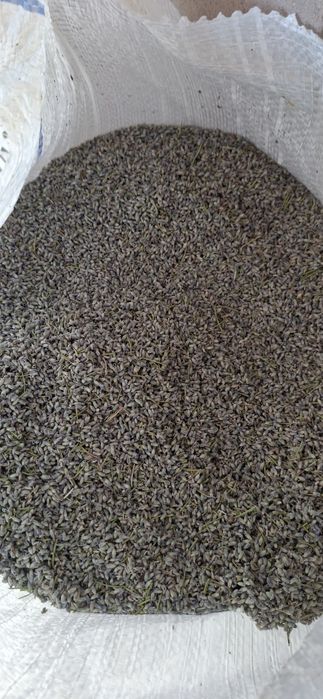 Floare de lavanda uscata,   bio ( productie 2026)  si ulei de lavand