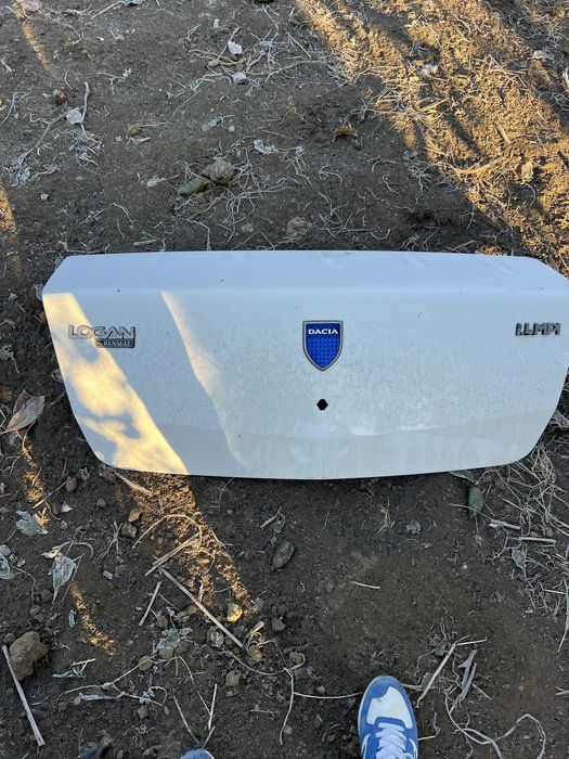 Haion dacia logan