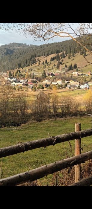 Vand teren in com. Carlibaba, jud. Suceava