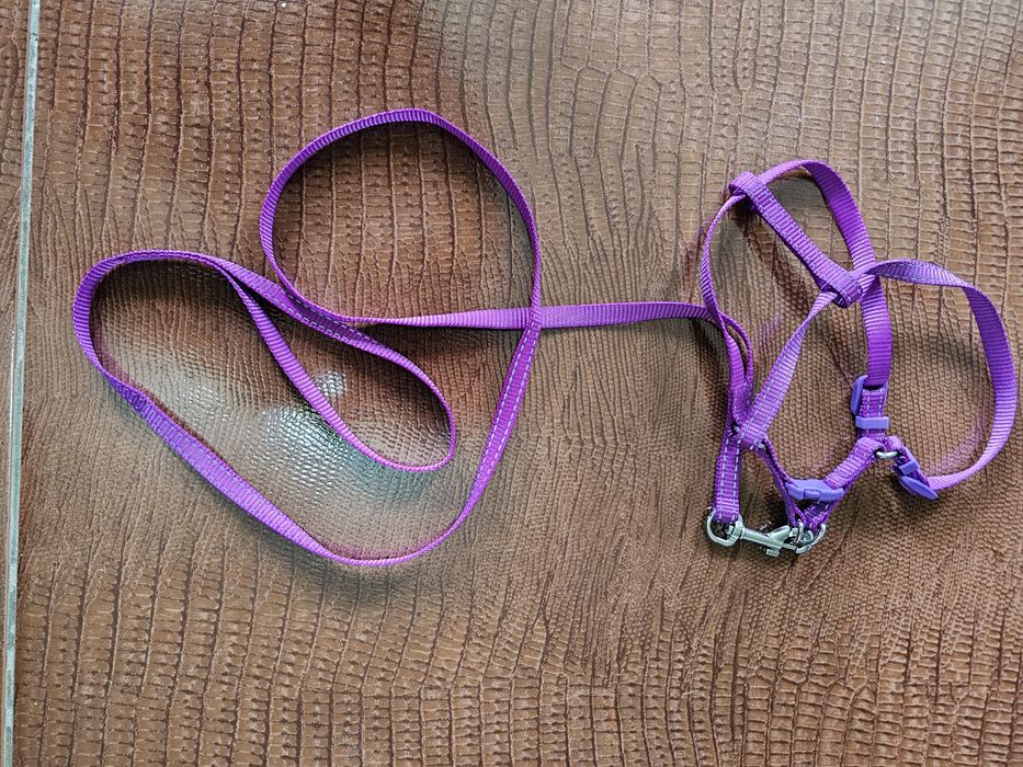 Поводок для кошки