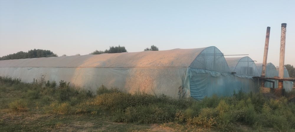 Теплица 30 соток