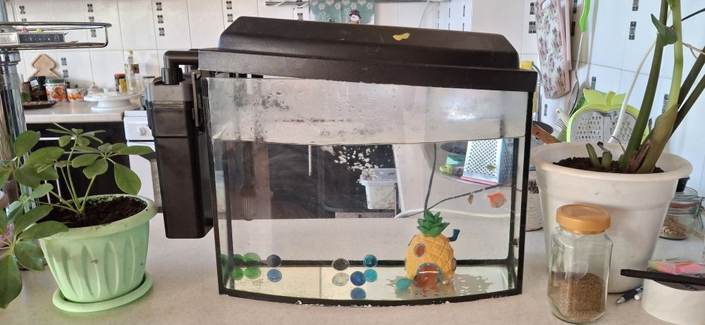 Продам аквариум с рыбками