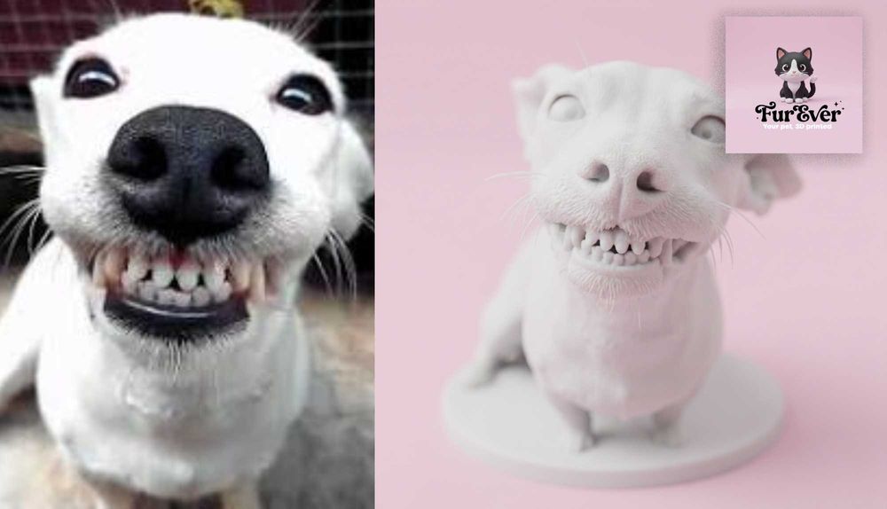 Figurina personalizata dupa fotografia animalului tau | Cadou unic pentru iubitorii de animale