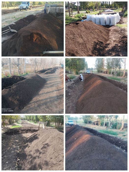 Biogomus Toshkent dastavka