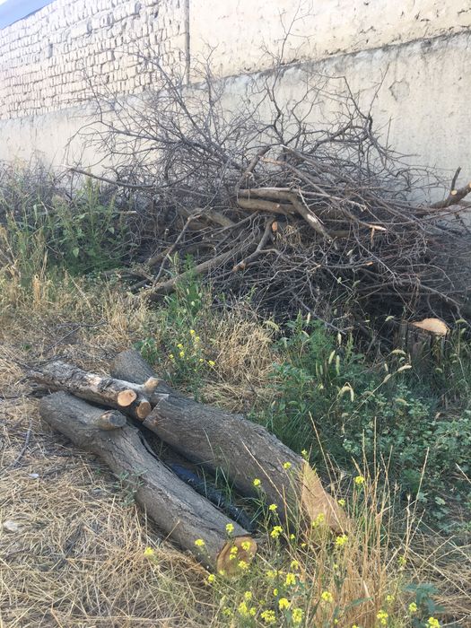 Shefir va o’tin sotiladi