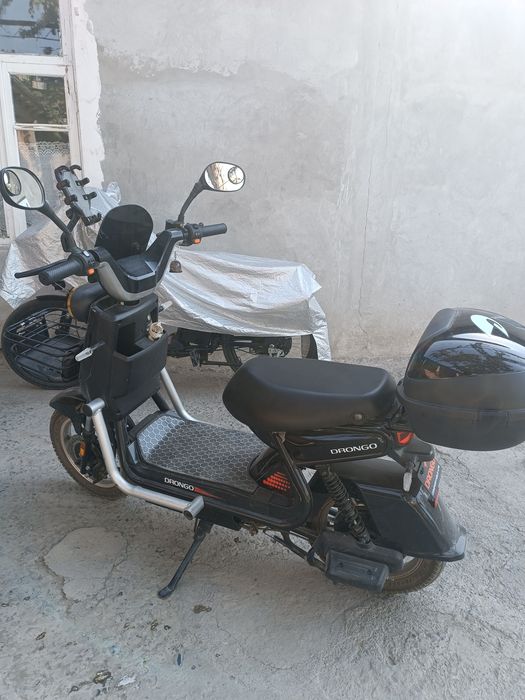 sukuter  Drongo Xolati alo