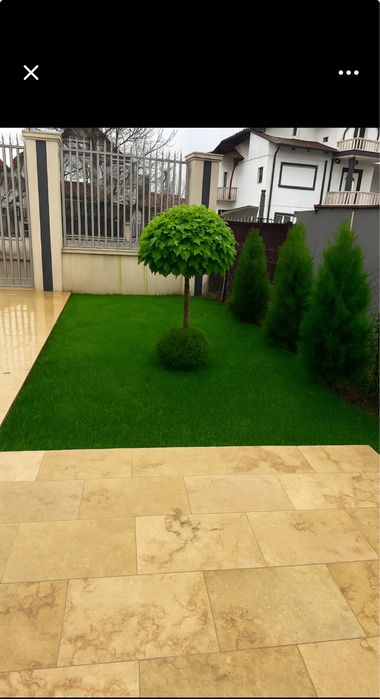 Gazon rulou  20 lei mp