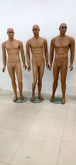 Оборудование и манекены