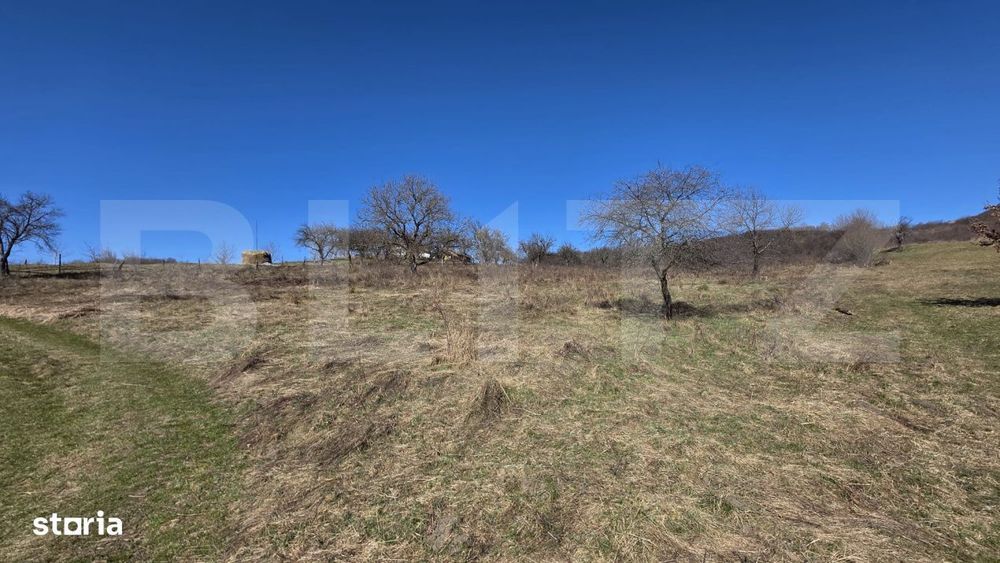 Teren de vanzare de 8,567MP in zona: Tarpiului