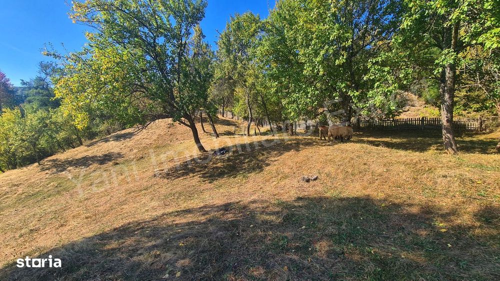 Teren 2264 mp de vânzare în comuna Brăduleț,  județ Argeș.