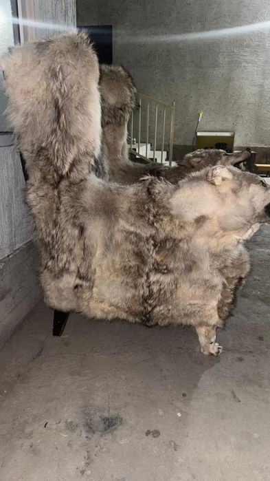 Кресло Шавката Рахмонова