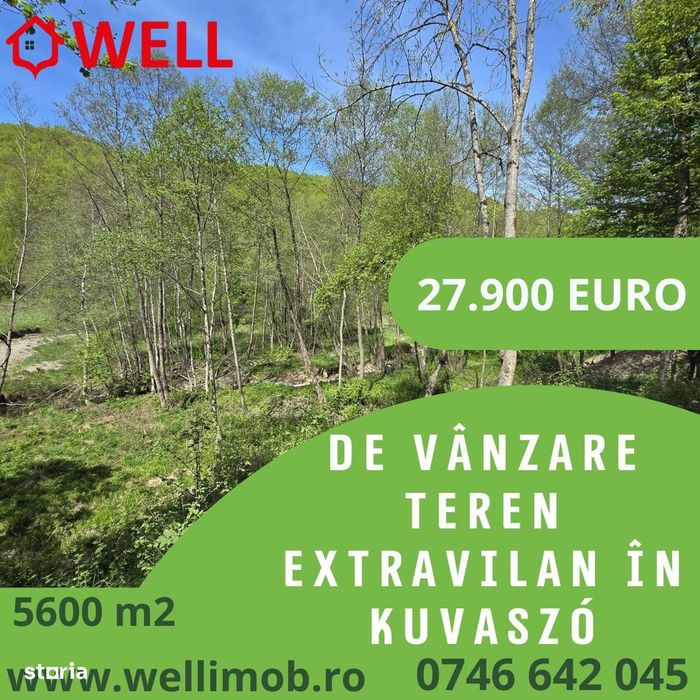 De vânzare teren extravilan în Kuvaszo!