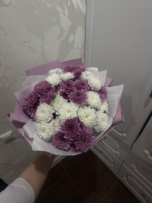 цветы хризантемы