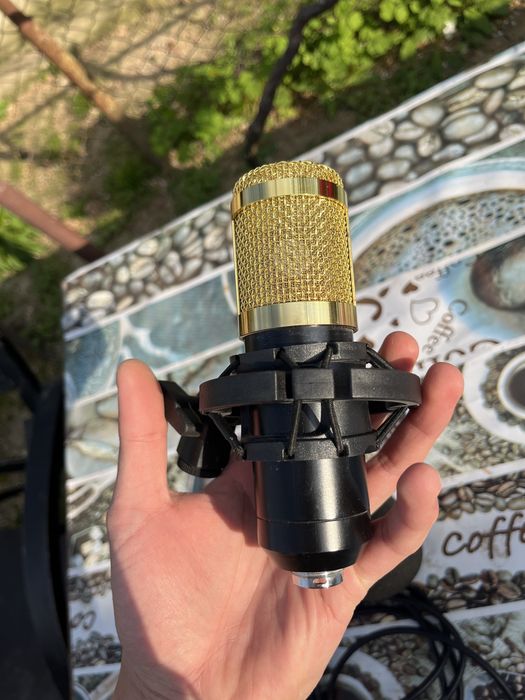 Microfon cu mufa xlr