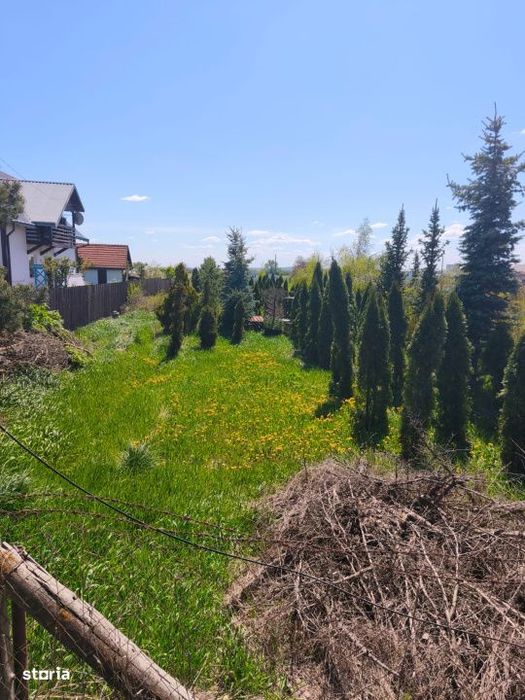 Teren intravilan, 4600mp, zona Francei, Radauti