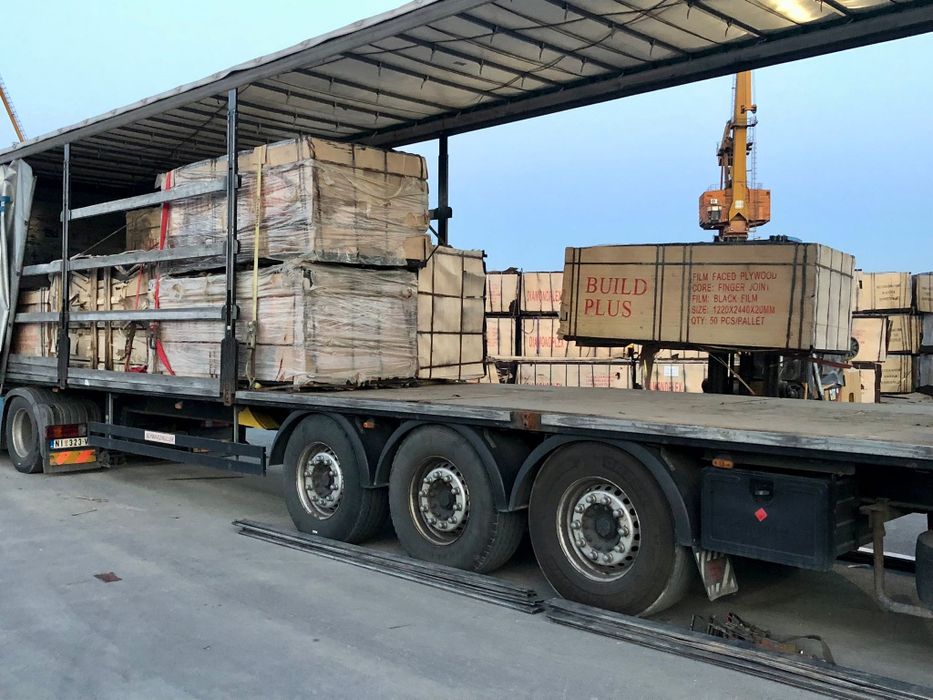 Distribuție Tego 20 MM Plop 1,22*2,44