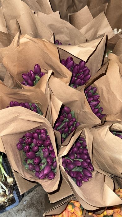 тюлпаны в наличий оптом 370тг