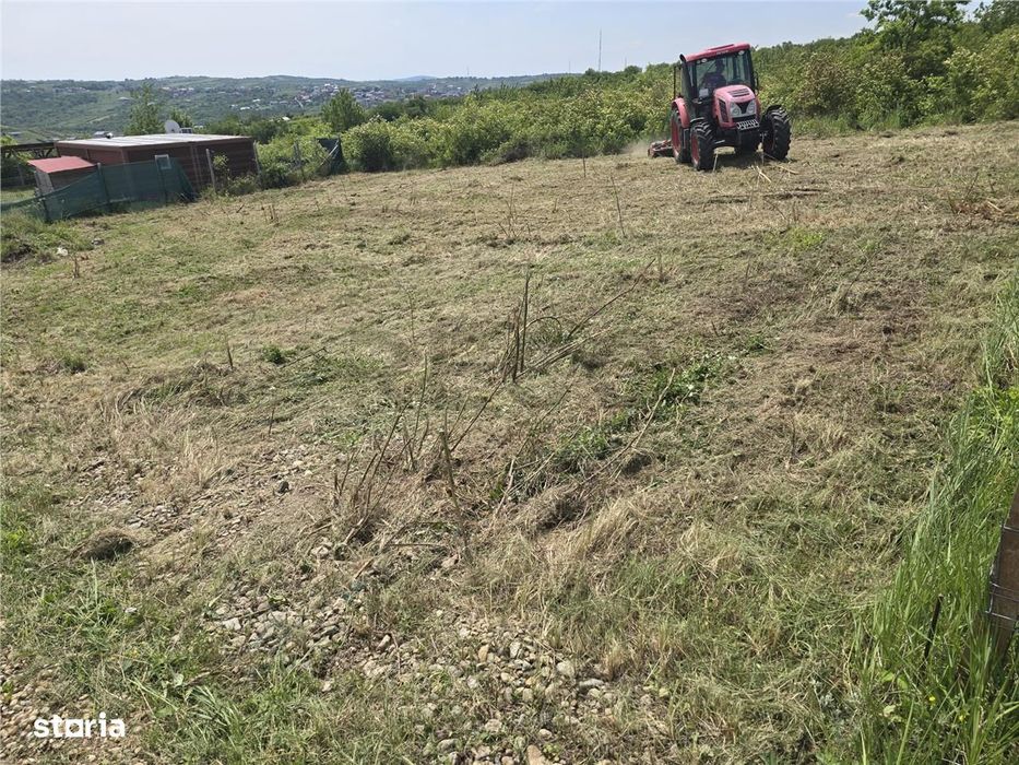 RECO Teren Saldabagiu de Munte, Aviz de oportunitate