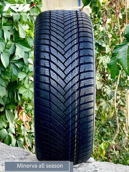 Balon shina minnerva