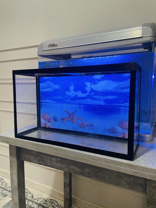 Аквариум для рыбок Актау