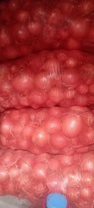 Продам лук сухой