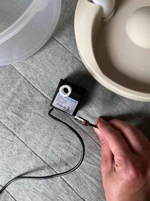 Автоматическая поилка для котят