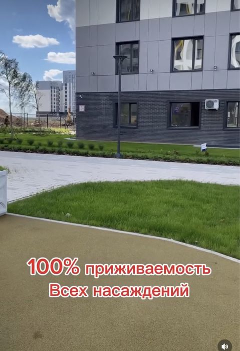 Озеленение и благоустройство