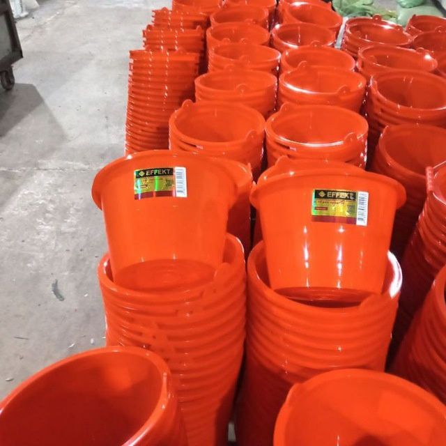 Efekt Taysin Panda paqrlar brnchi qol oftm narxlarda dastafka bor