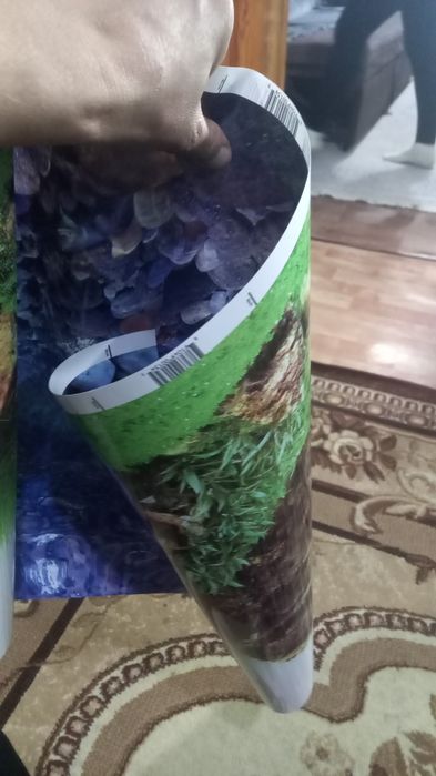 Рыбки аквариумные