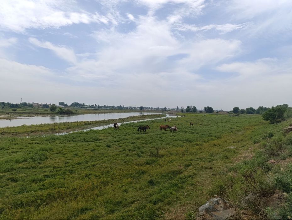 Ишлаб чикаришнинг барча тармоклари учун мулжалланган ер майдони