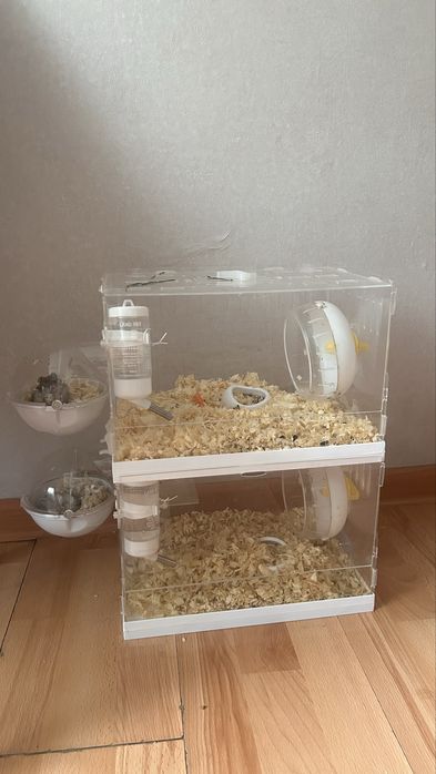 Джунгарики с клеткой