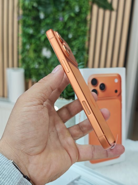17 Pro Max 256 GB